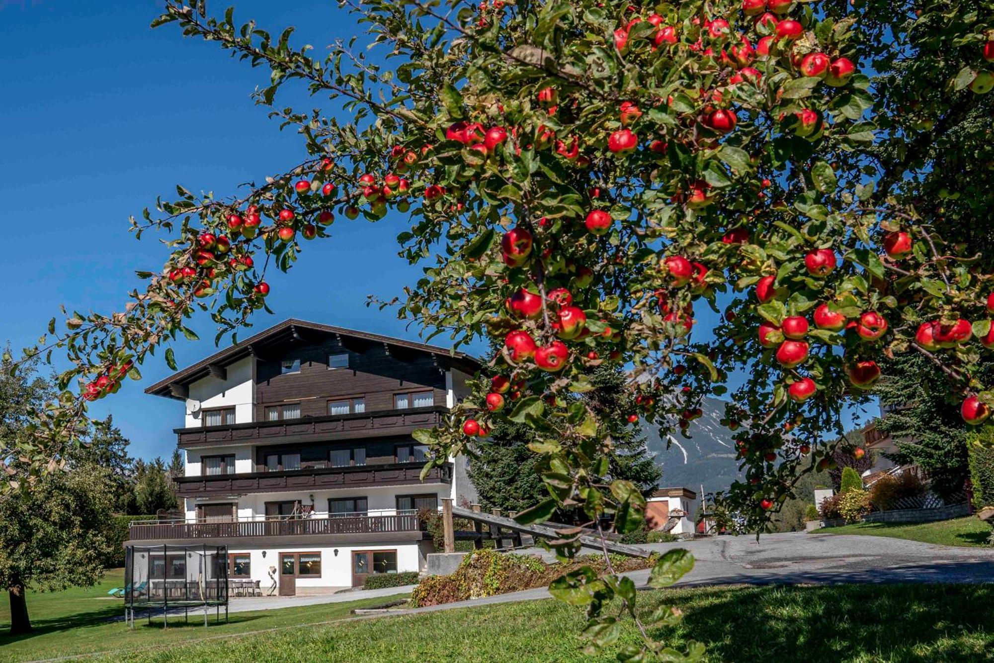 Ferienwohnungen Monja Und Dietmar Thoeni Arzl im Pitztal Eksteriør bilde